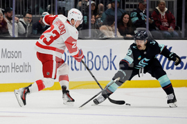 Red Wings Kraken Hockey