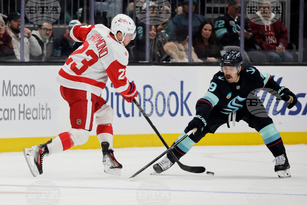 Red Wings Kraken Hockey