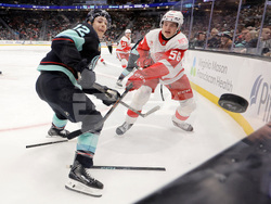 Red Wings Kraken Hockey