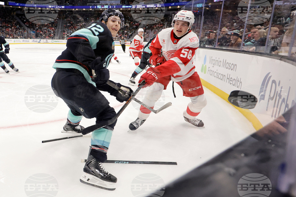 Red Wings Kraken Hockey