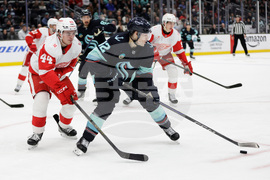 Red Wings Kraken Hockey