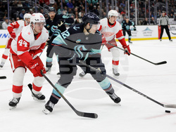 Red Wings Kraken Hockey