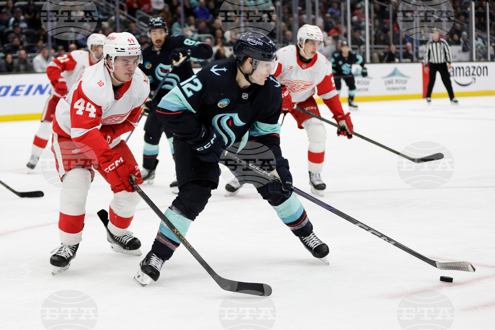 Red Wings Kraken Hockey