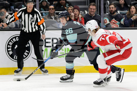 Red Wings Kraken Hockey