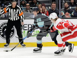 Red Wings Kraken Hockey