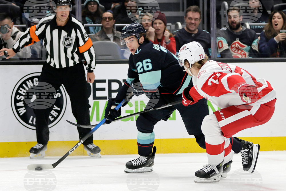 Red Wings Kraken Hockey