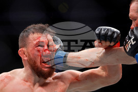 UFC 323 Mixed Martial Arts