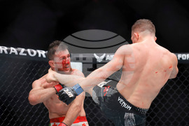 UFC 323 Mixed Martial Arts