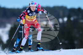 Norway World Cup Cross Country Skiing