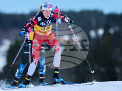 Norway World Cup Cross Country Skiing
