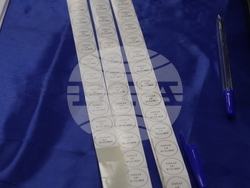 Румъния - Букурещ - избори за кмет