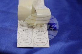 Румъния - Букурещ - избори за кмет