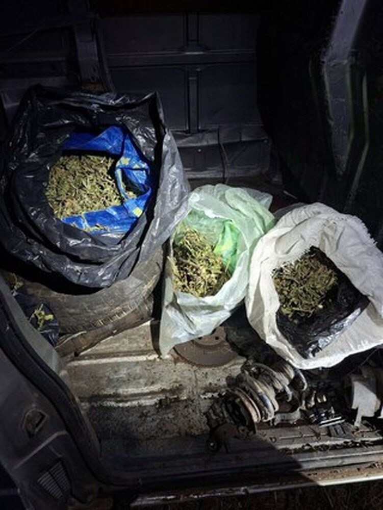 При специализирана операция полицията е иззела 8 килограма марихуана в Бобов дол