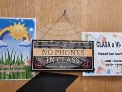 Румъния - Букурещ - избори за кмет