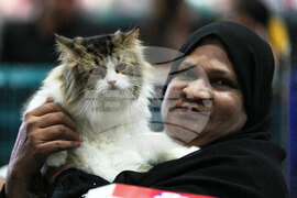India Cat Show