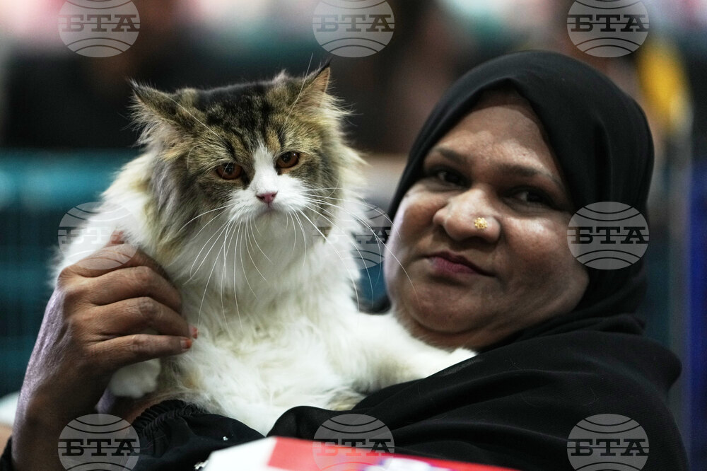 India Cat Show