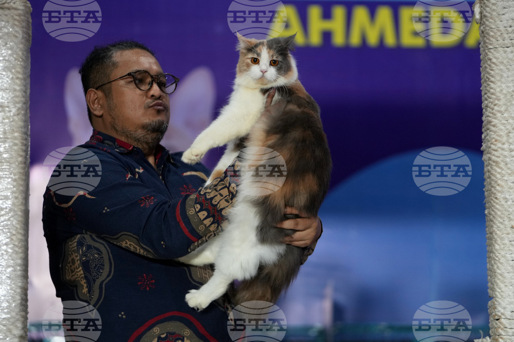 India Cat Show