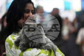India Cat Show