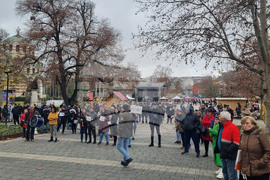 Плевен - граждани - протест с искане за оставка на правителството