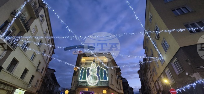 С включване на празничните светлини кметът на столичния район ,,Средец" Трайчо Трайков откри коледния сезон на благотворителен фестивал в центъра на София