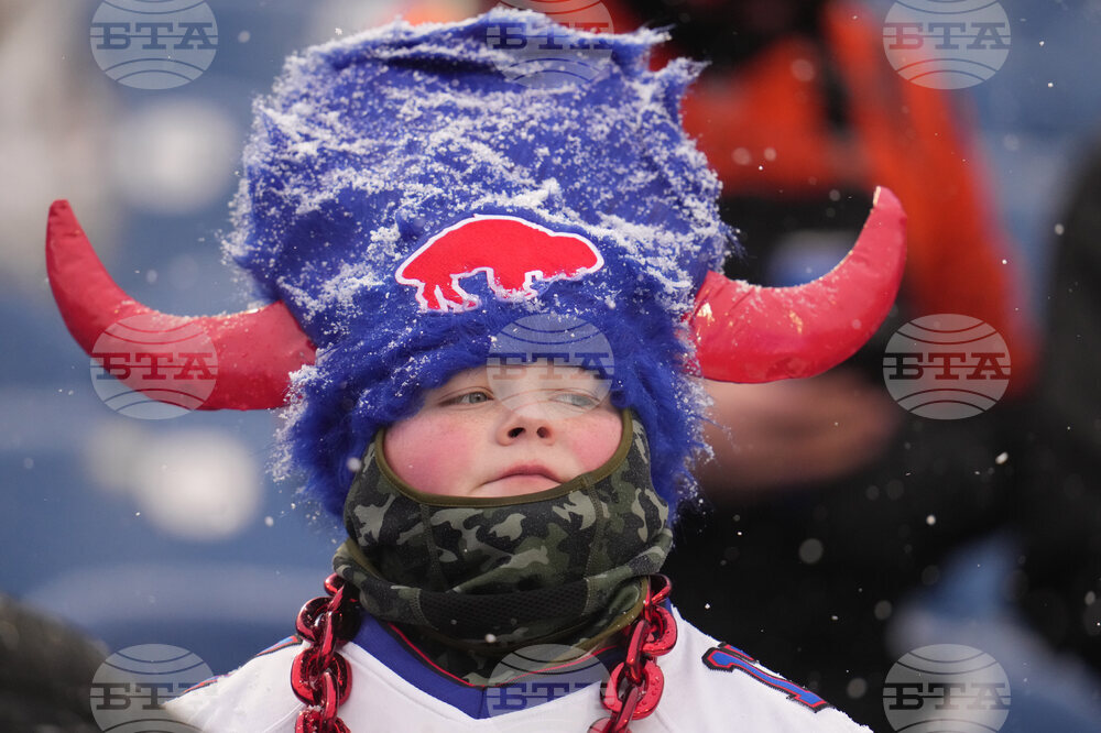 Bengals Bills Football