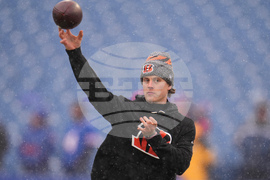 Bengals Bills Football