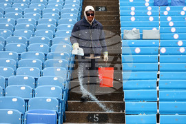 Bengals Bills Football