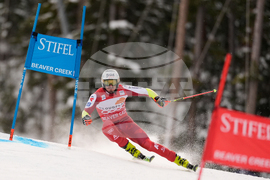 United States World Cup Giant Slalom Skiing