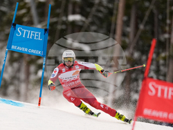 United States World Cup Giant Slalom Skiing