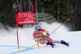 United States World Cup Giant Slalom Skiing