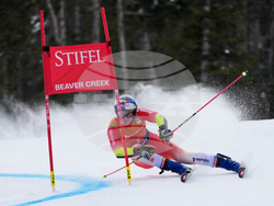 United States World Cup Giant Slalom Skiing