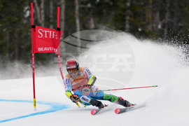 United States World Cup Giant Slalom Skiing