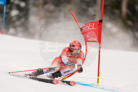 United States World Cup Giant Slalom Skiing