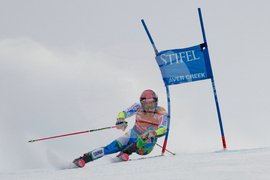 United States World Cup Giant Slalom Skiing