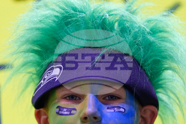 Seahawks Falcons Football