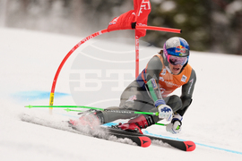 APTOPIX United States World Cup Giant Slalom Skiing