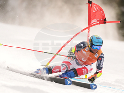 United States World Cup Giant Slalom Skiing