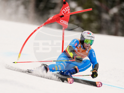 United States World Cup Giant Slalom Skiing