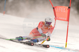 United States World Cup Giant Slalom Skiing