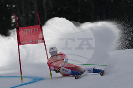 United States World Cup Giant Slalom Skiing
