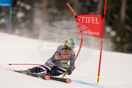 United States World Cup Giant Slalom Skiing