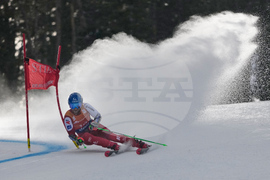 United States World Cup Giant Slalom Skiing