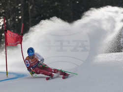 United States World Cup Giant Slalom Skiing