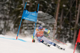 United States World Cup Giant Slalom Skiing