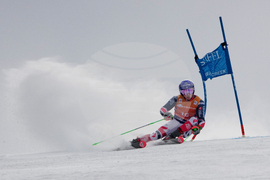 United States World Cup Giant Slalom Skiing