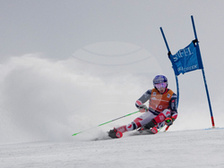United States World Cup Giant Slalom Skiing