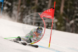 United States World Cup Giant Slalom Skiing