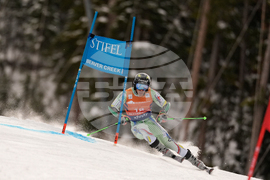 United States World Cup Giant Slalom Skiing