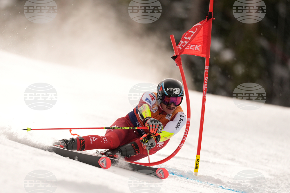 United States World Cup Giant Slalom Skiing