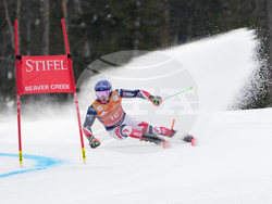 United States World Cup Giant Slalom Skiing